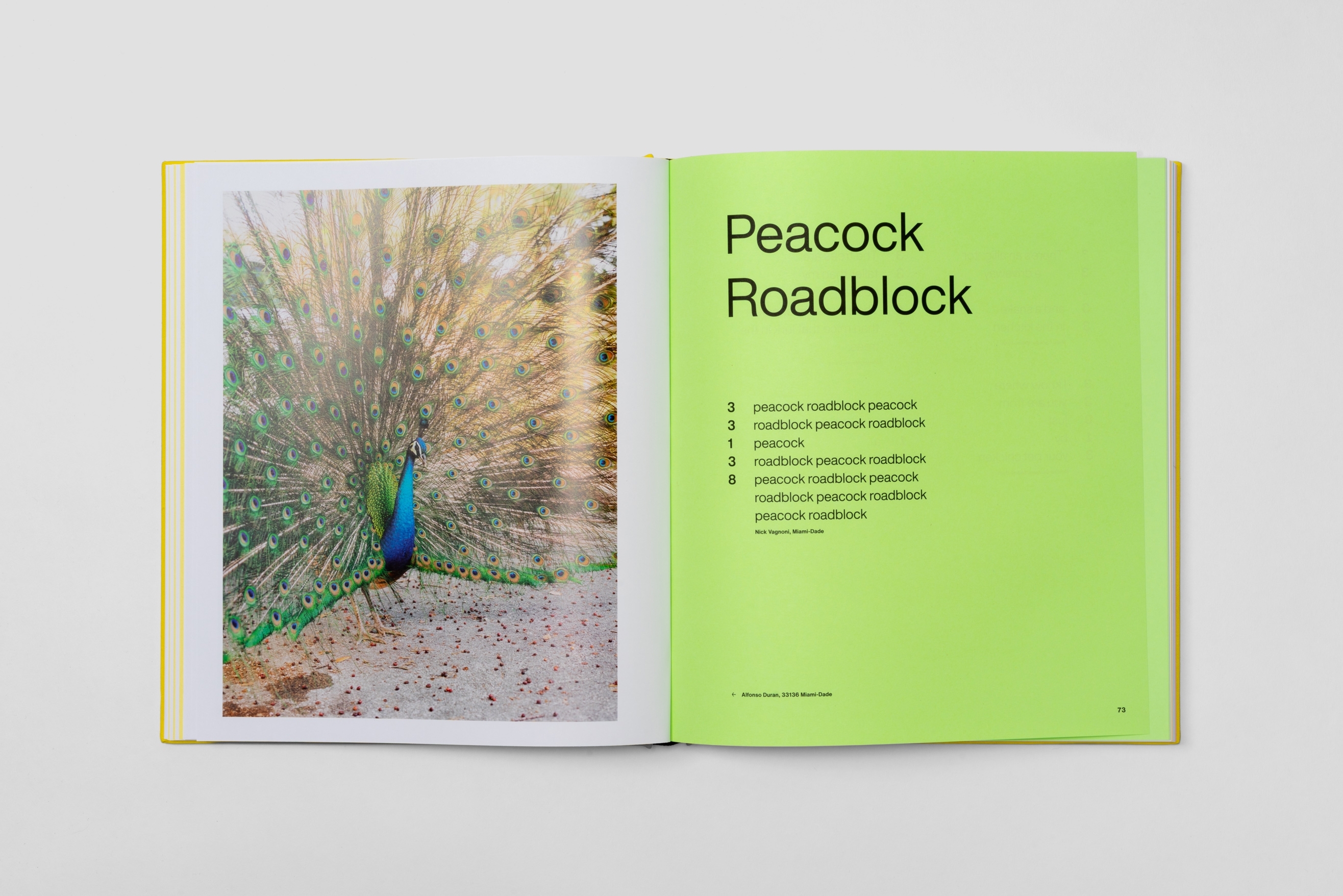 Topos O Miami L Iterally Cropped Int 0006 Topos O Miami LEI 06208