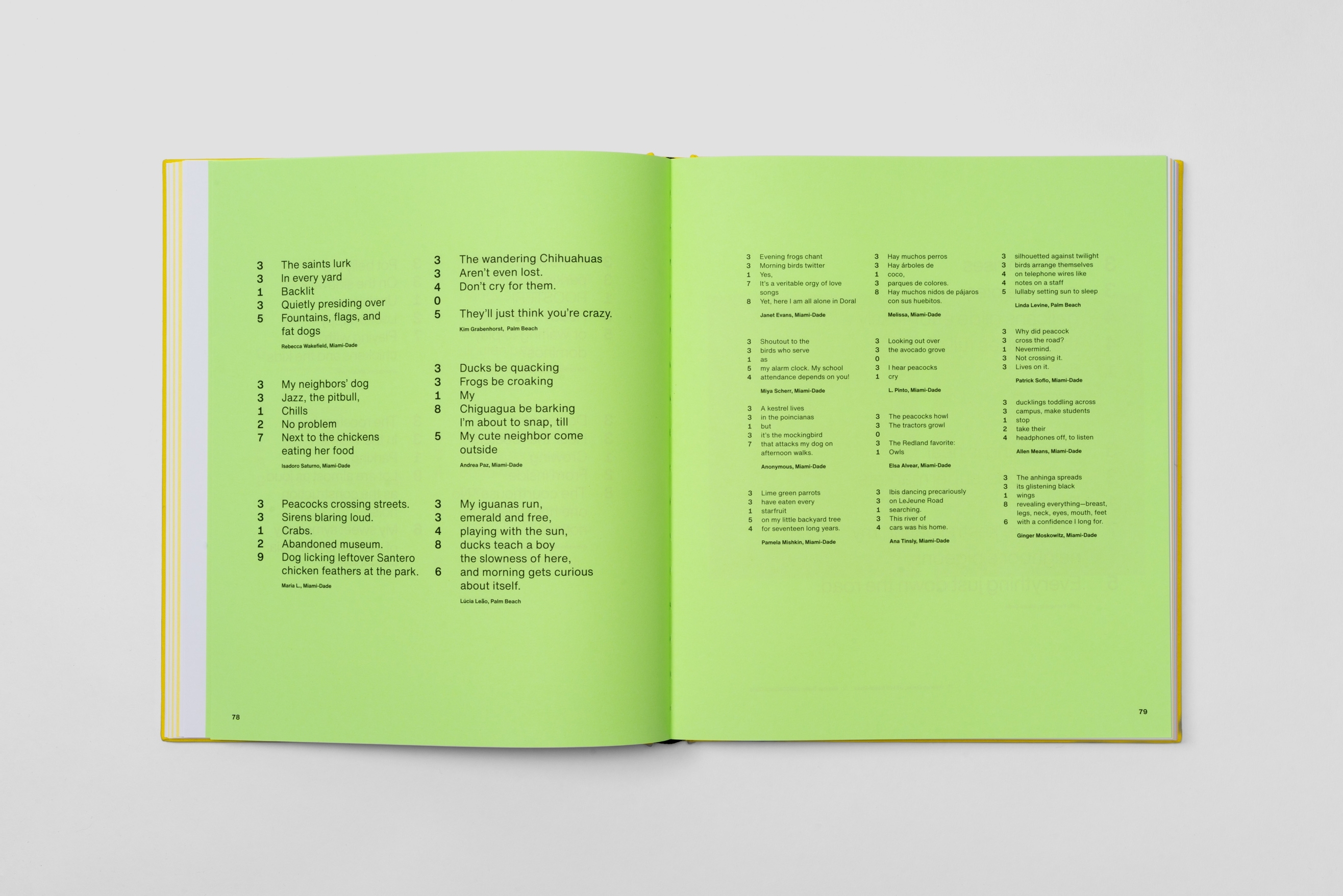 Topos O Miami L Iterally Cropped Int 0007 Topos O Miami LEI 06210