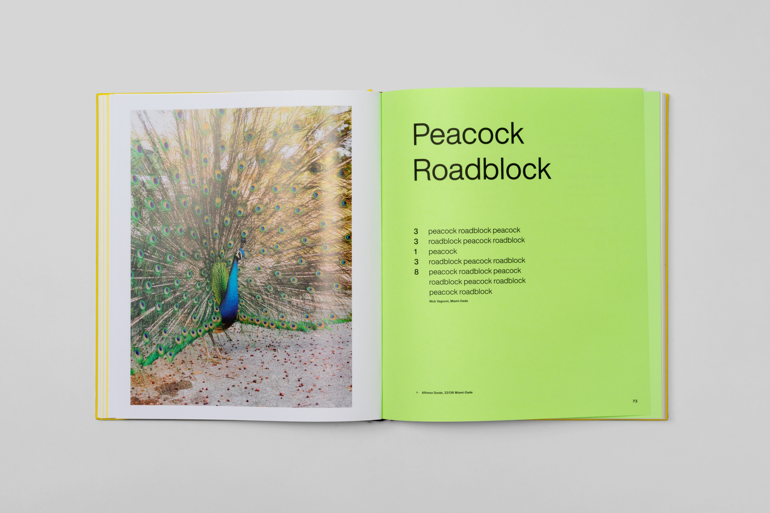 Topos O Miami L Iterally Cropped Int 0006 Topos O Miami LEI 06208